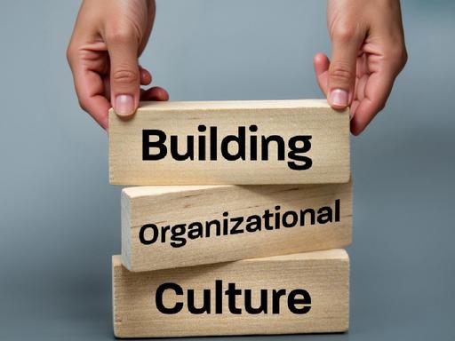 Organisation culture