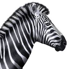 investec logo