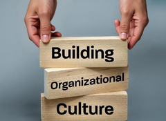 Organisation culture